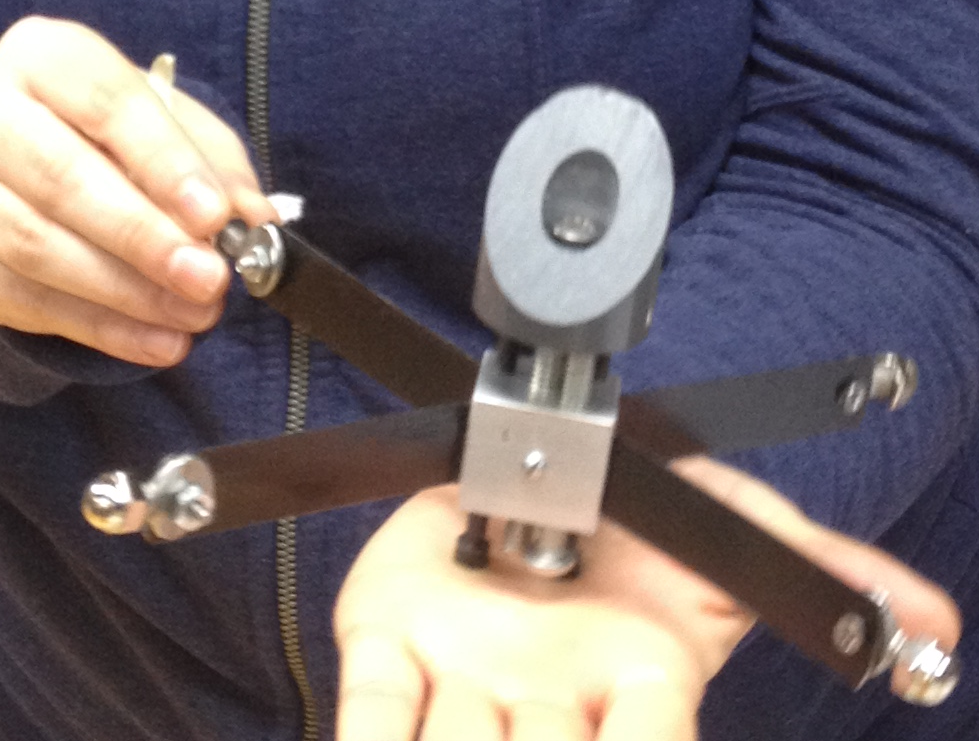 ramonas spider 1.png